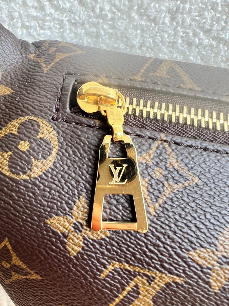 Louis Vuitton Bumbag in Monogram Canvas - Image 11