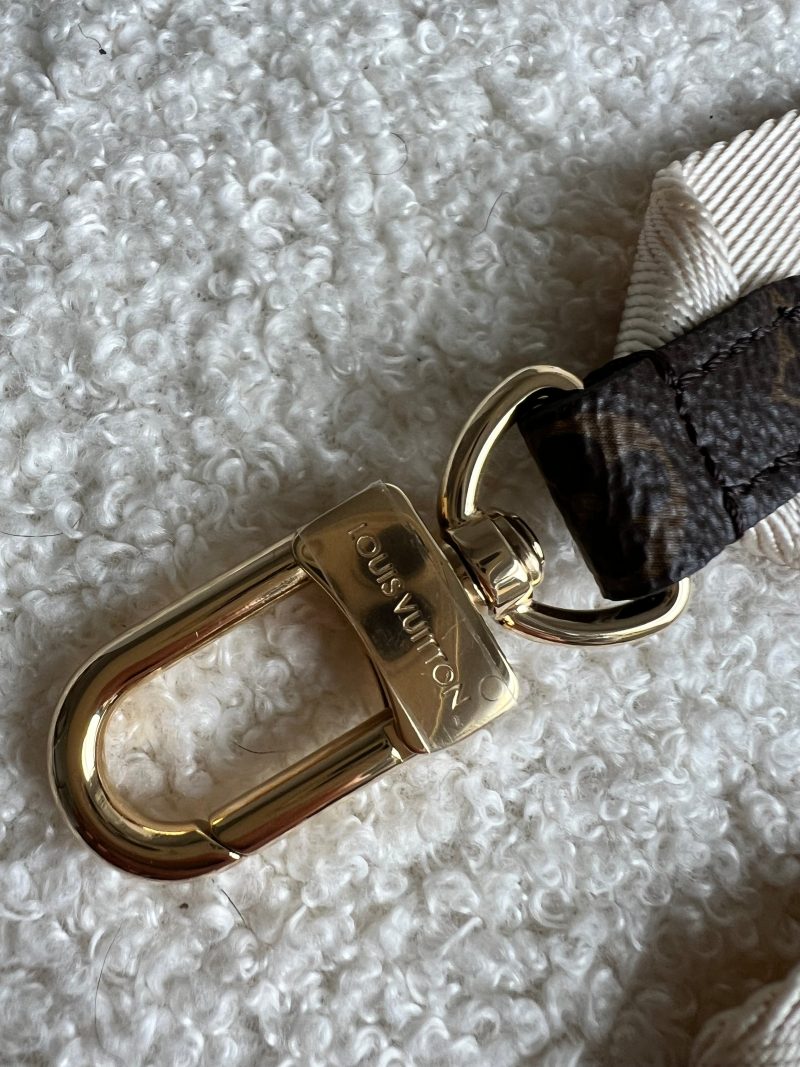 Louis Vuitton Canvas Bandouliere Strap - Image 3