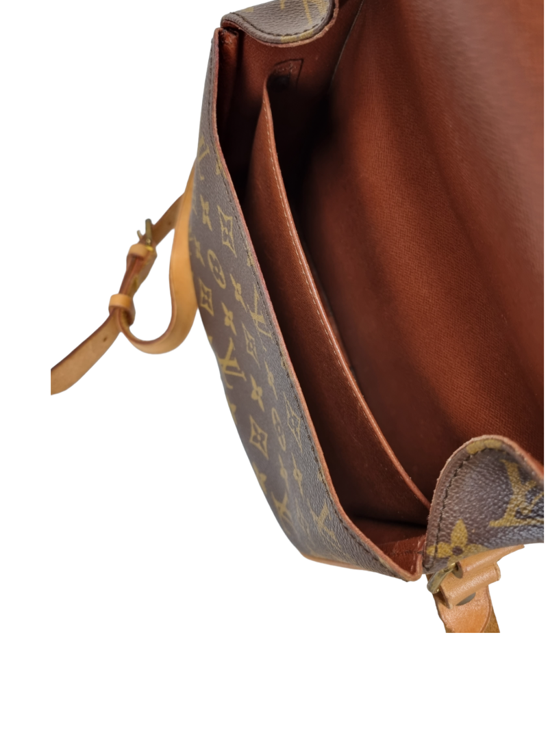 LOUIS VUITTON Cartouchiere PM Crossbody Bag MNG Canvas - Image 10