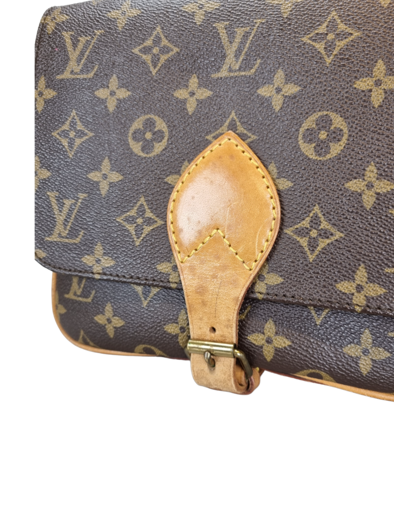 LOUIS VUITTON Cartouchiere PM Crossbody Bag MNG Canvas - Image 9
