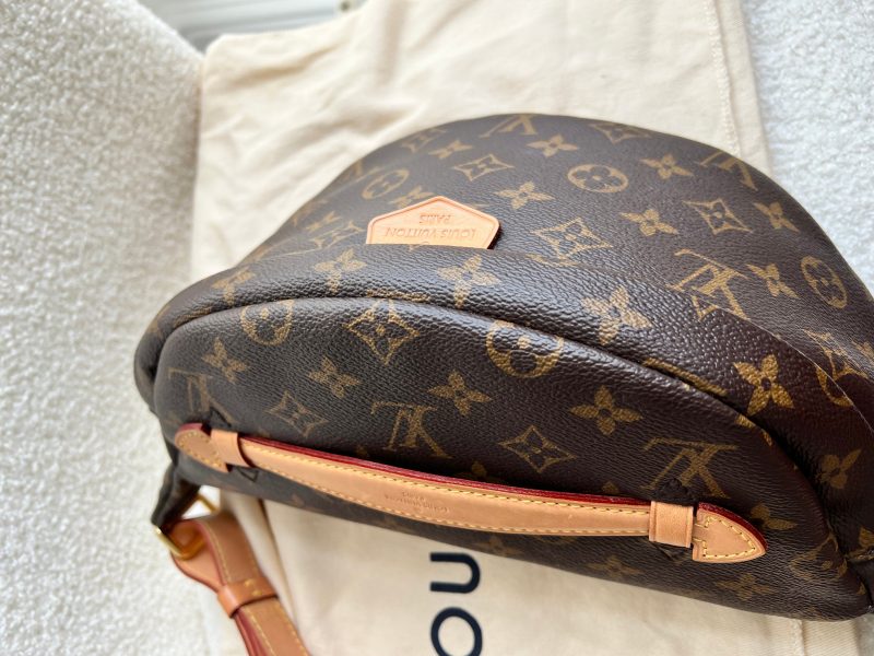 Louis Vuitton Bumbag in Monogram Canvas - Image 6