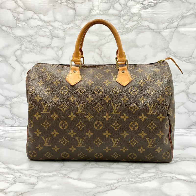 LOUIS VUITTONMulticolor Zippy