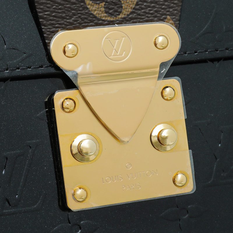 Louis Vuitton Bicolor Monogram/Calf Egg Souple Bag - Image 8
