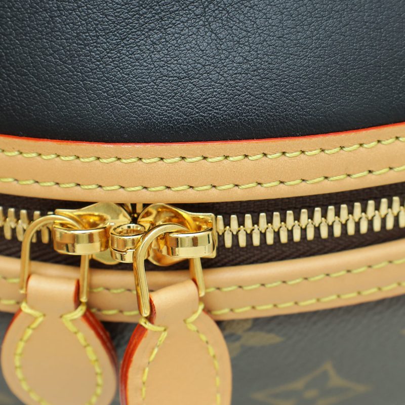 Louis Vuitton Bicolor Monogram/Monogram Reverse Vanity PM Bag - Image 6