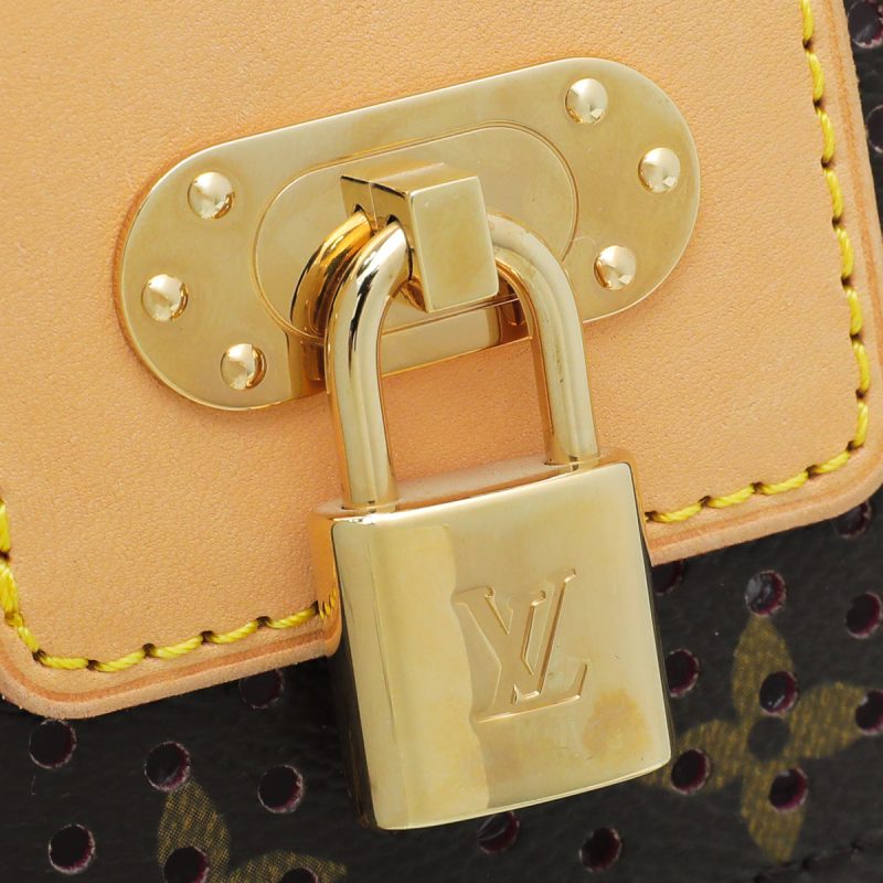 Louis Vuitton Bicolor Python Bandouliere Bag Strap - Image 8