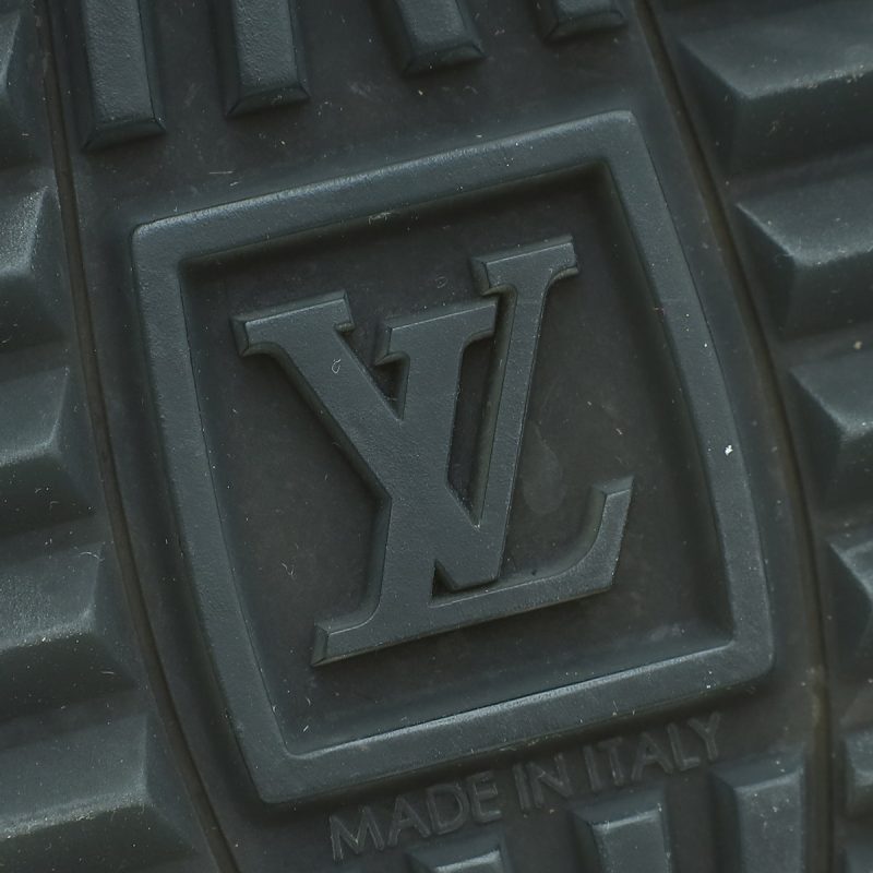 Louis Vuitton Bicolor Saint Placide Chain Bag - Image 7