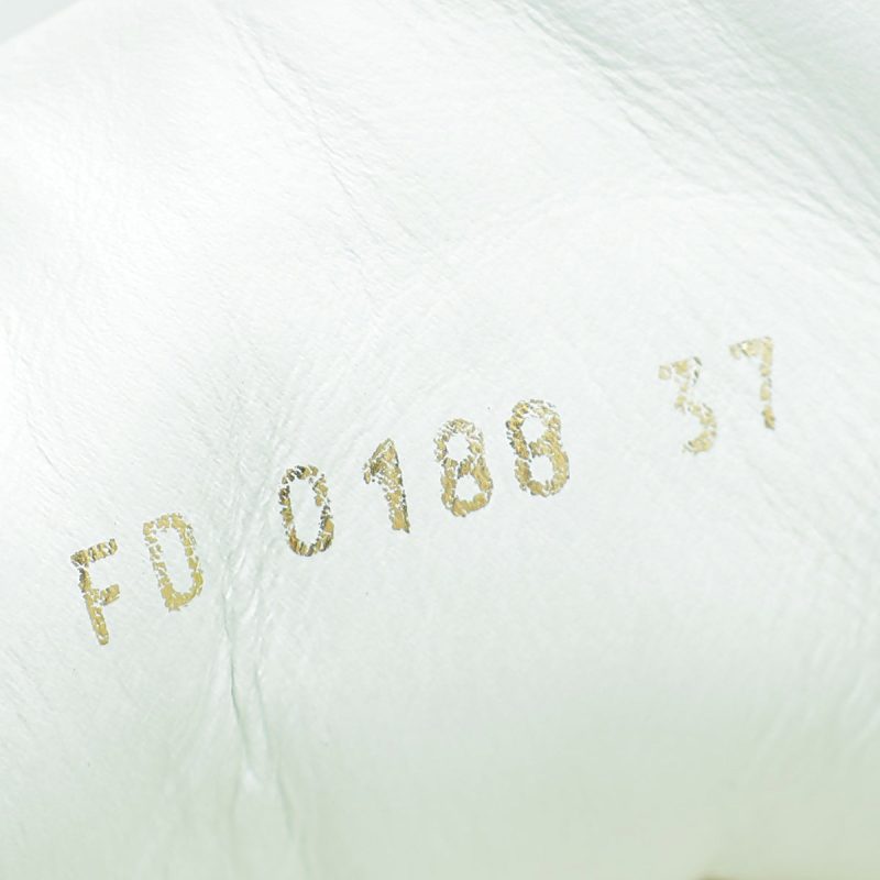 Louis Vuitton Bicolor Saint Placide Chain Bag - Image 9