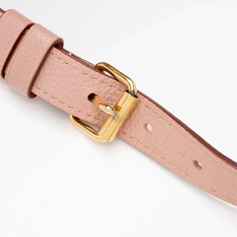 Louis Vuitton Calfskin Felicie Insert - Image 15