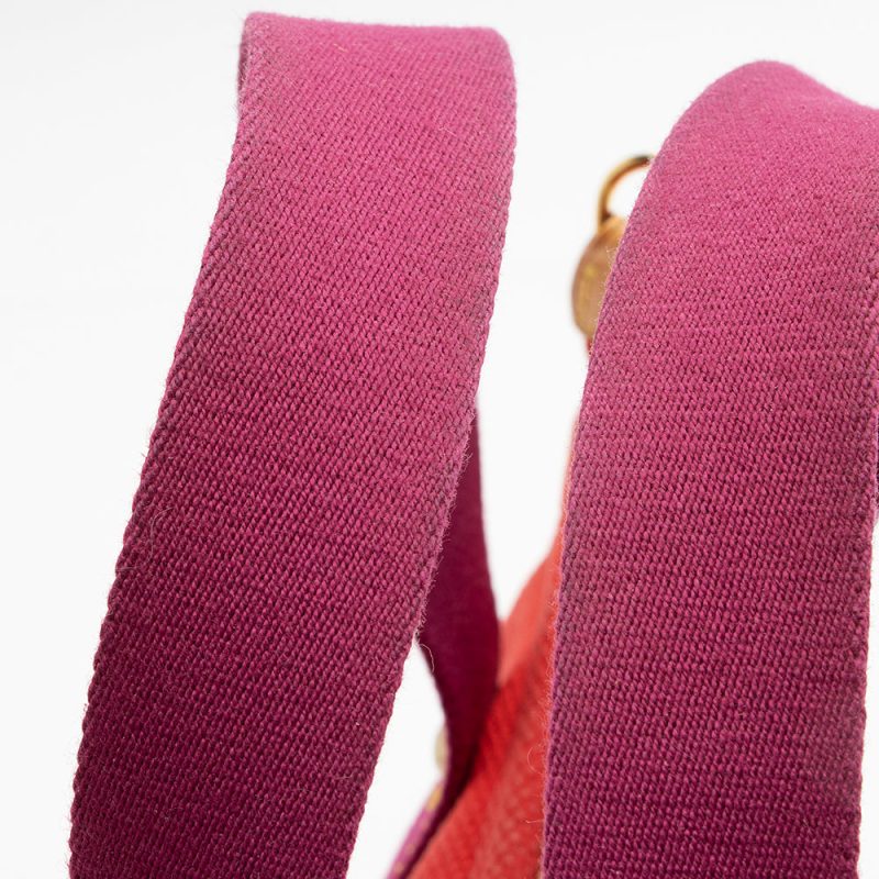 Louis Vuitton Canvas Bandouliere Strap - Image 12