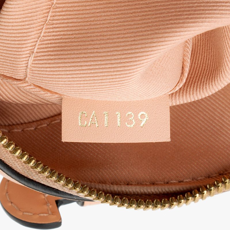 Louis Vuitton Damier Ebene Santa Monica Shoulder Bag (SHF-xbOCN7) - Image 5