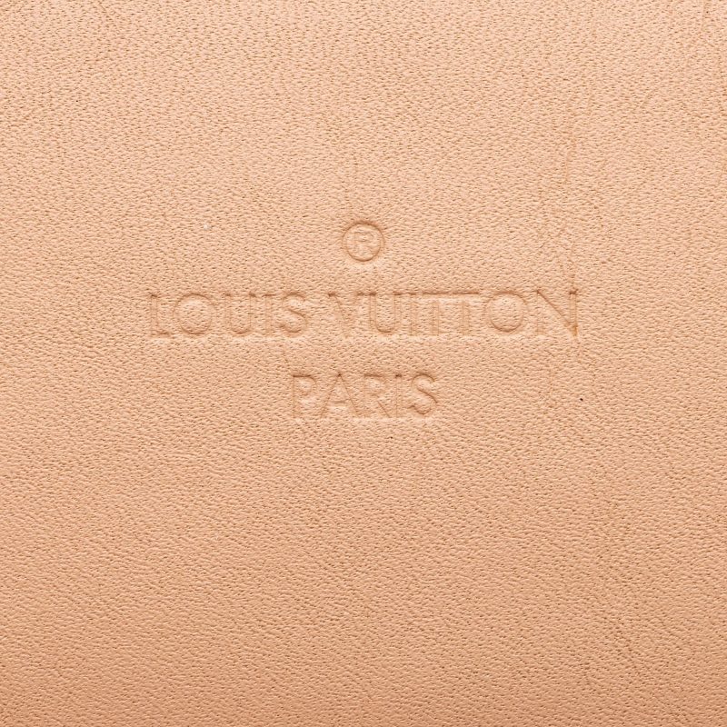 Louis Vuitton Damier Ebene Santa Monica Shoulder Bag (SHF-xbOCN7) - Image 8