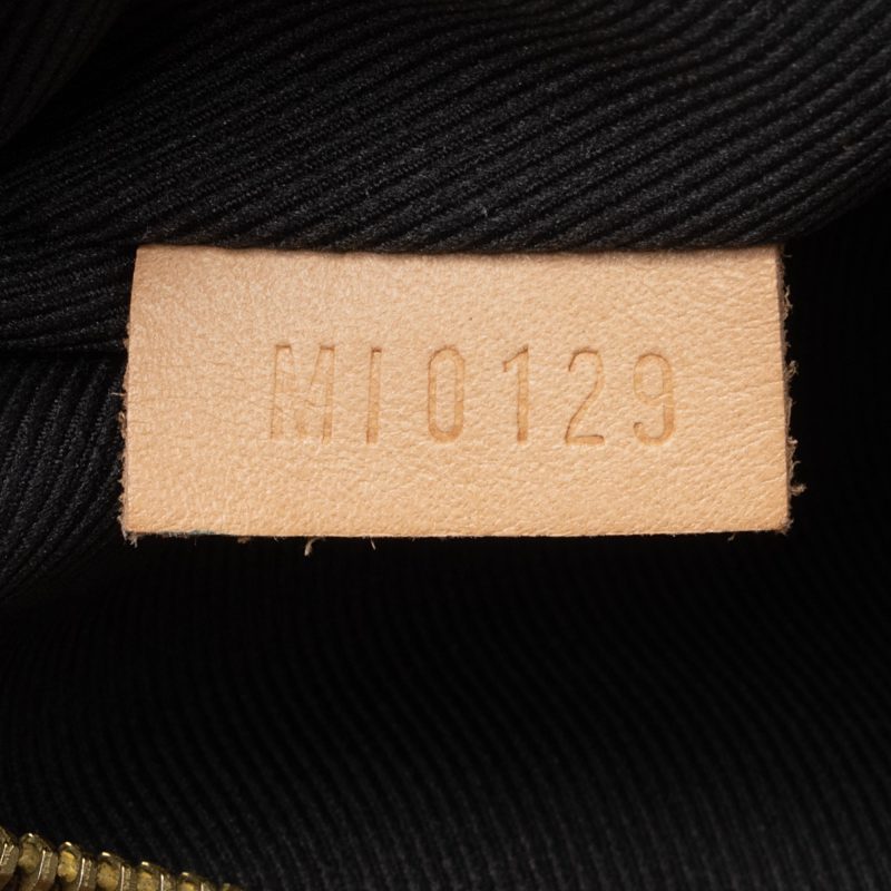 Louis Vuitton Monogram Canvas Bumbag (SHF-EQpZuq) - Image 5
