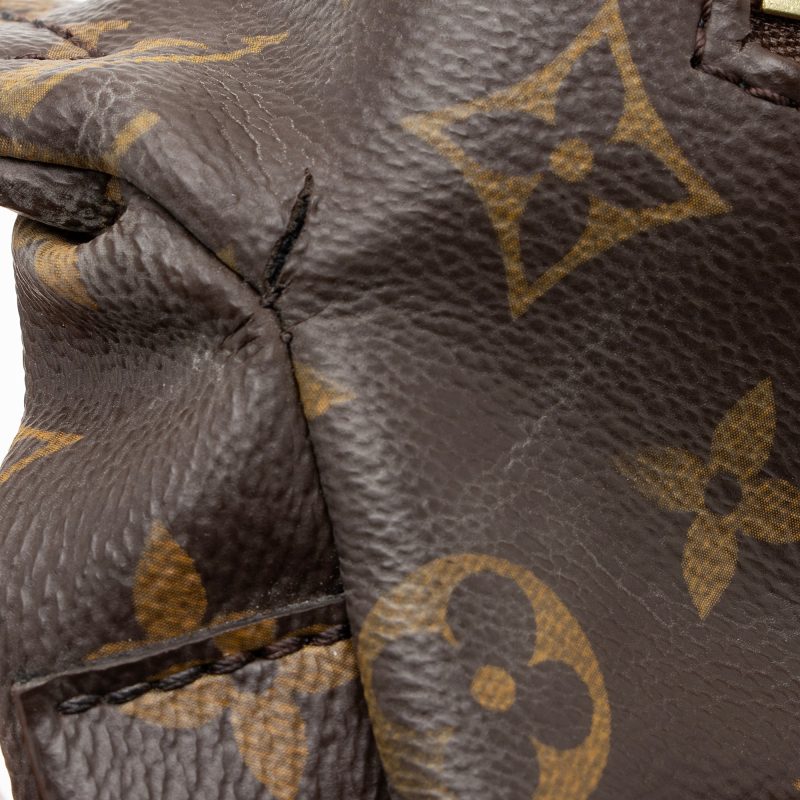 Louis Vuitton Monogram Canvas Bumbag (SHF-EQpZuq) - Image 9