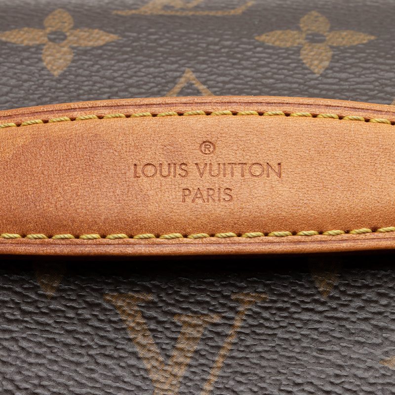 Louis Vuitton Monogram Canvas Bumbag (SHF-EQpZuq) - Image 8