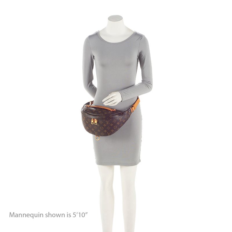 Louis Vuitton Monogram Canvas Bumbag (SHF-EQpZuq) - Image 4