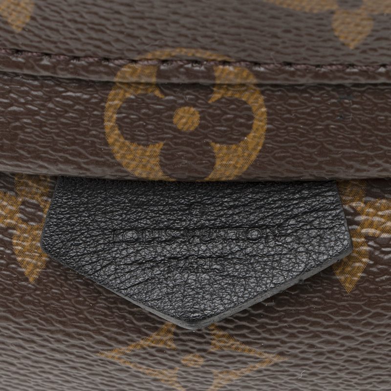 Louis Vuitton Monogram Canvas Palm Springs Mini Backpack (SHF-22308) - Image 7