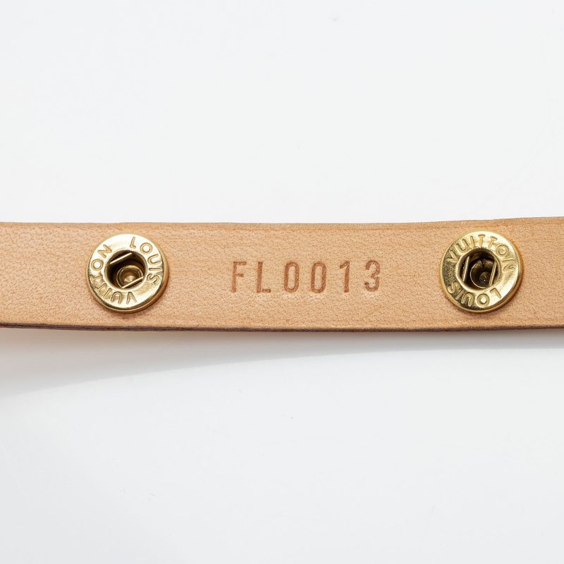 Louis Vuitton Monogram Canvas Pochette Florentine Small Belt Bag (SHF-9aCUhN) - Image 9
