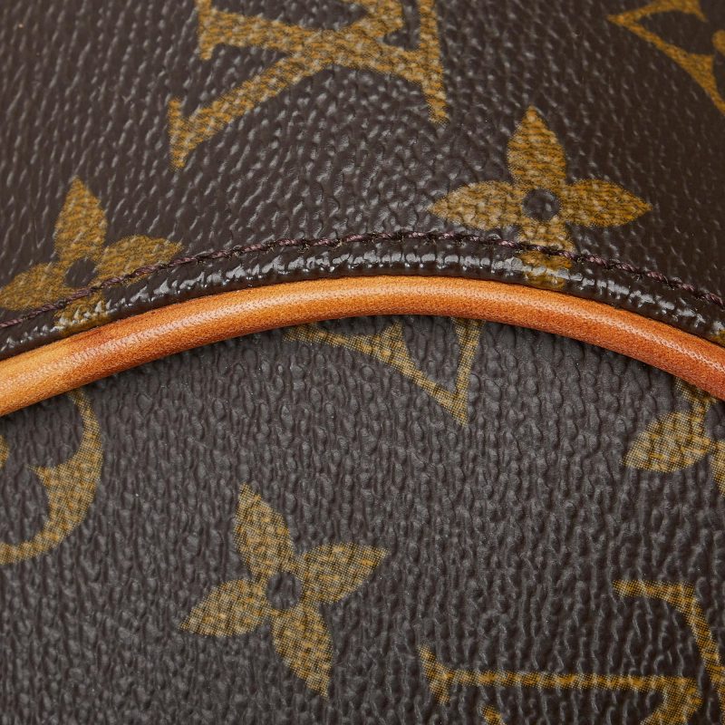 Louis Vuitton Monogram Ellipse PM (SHG-dKxWTA) - Image 8