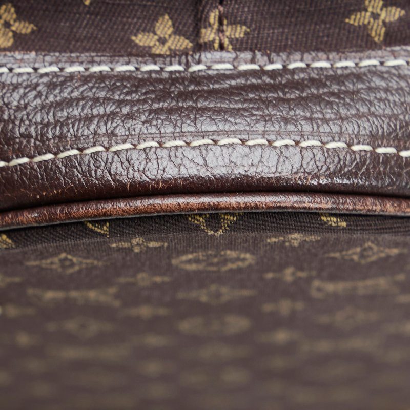 Louis Vuitton Monogram Mini Lin Bucket PM (SHG-KJWAcV) - Image 8