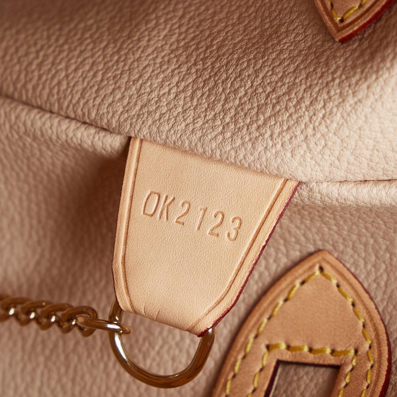 Louis Vuitton Monogram Petit Bucket (SHG-XqlCtj) - Image 8
