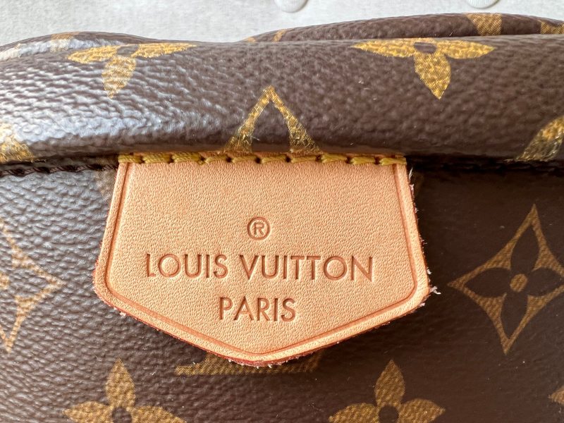Louis Vuitton Bumbag in Monogram Canvas - Image 5