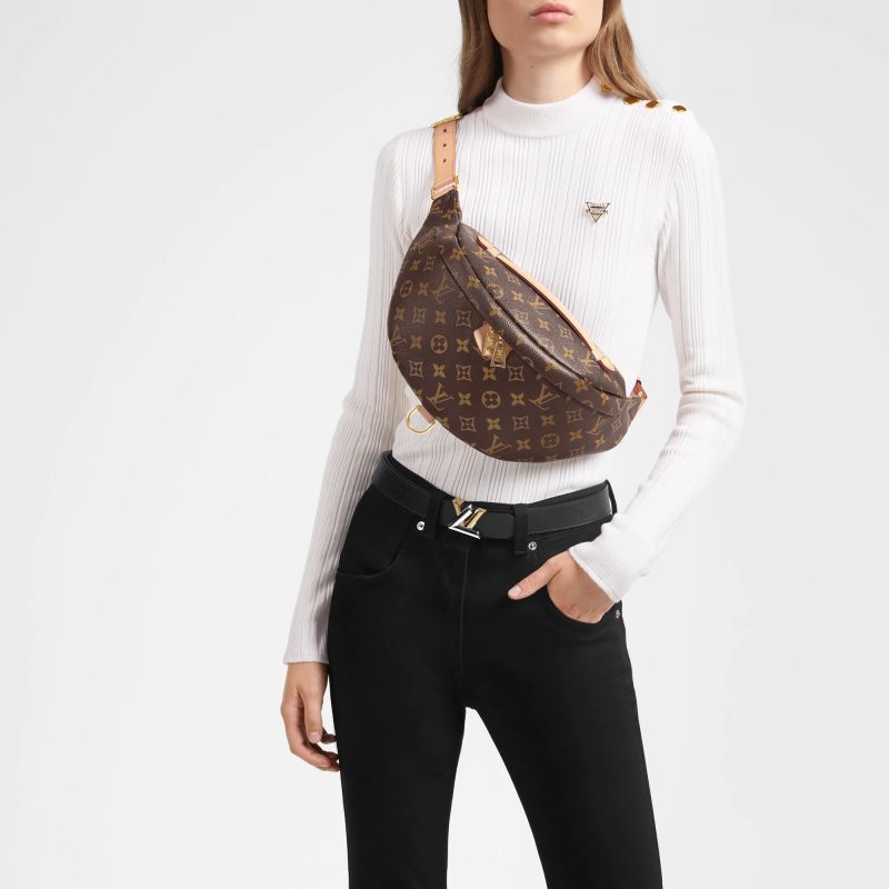 Louis Vuitton Bumbag Monogram Teddy Fleece - Image 2